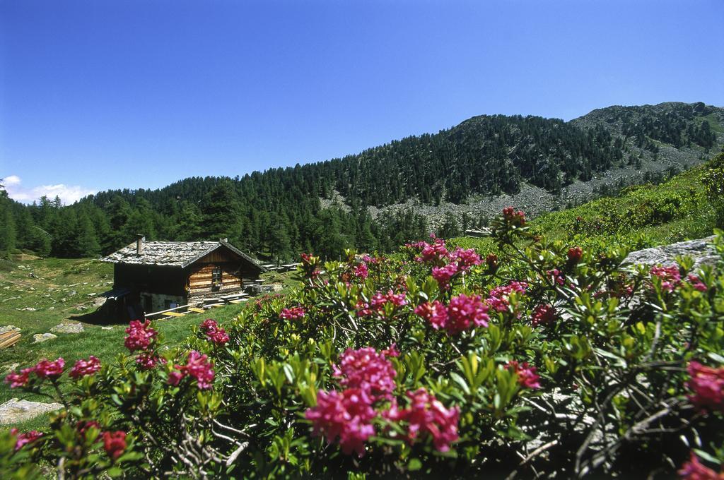 Residence Feldhof 카스텔벨로 외부 사진